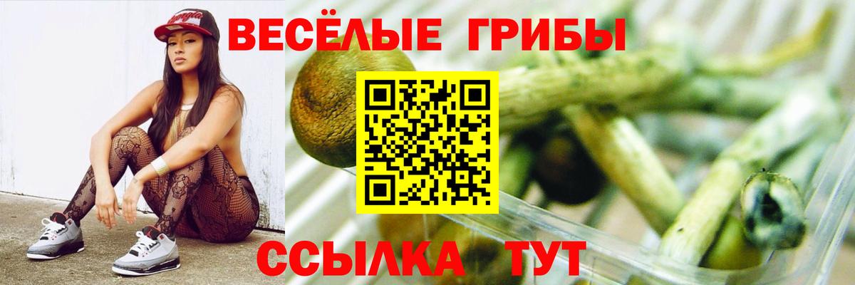 Тара  Галлюциногенные грибы Magic Shrooms  Вход с VPN  Галлюциногенные грибы прущие грибы 